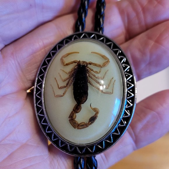 Bolo Tie - Picture 10 of 13